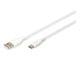 AK-300340-020-W