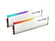 F5-6000J2836G16GX2-RM5RW