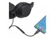 USBCAUDIO2