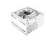 PS-TPT-0850FNFAGE-W