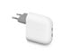 Handys - Adapter und Ladegeräte - Google 67W Pixel Flex Dual Port USB-C Fast Charger - GA09856-EU