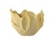 82061354