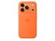 Handys - Cover & Cases - Apple iPhone 17 Pro Silicone Case with MagSafe – Orange - MGFE4ZM/A