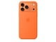 Handys - Cover & Cases - Apple iPhone 17 Pro Max Silicone Case with MagSafe – Orange - MGFL4ZM/A