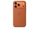 Handys - Cover & Cases - Apple iPhone 17 Pro Max Silicone Case with MagSafe – Terra Cotta - MGFQ4ZM/A