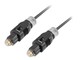 CA-TOSL-10CC-0030-BK