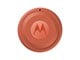 Handys - Anderes Zubehör - Motorola moto tag 2 - PANTONE Arabesque (1x) - PG38C08027