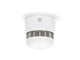 ZBDS11WT