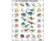 HL9