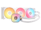CW-9061038-WW