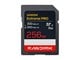 SDSDXEM-256G-GN4IN