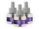 Katzen - Feliway FELIWAY Optimum Nachfüllpack 3er-Pack, 3x48 ml - 274845