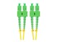 FO-SASA-SD11-0100-YE
