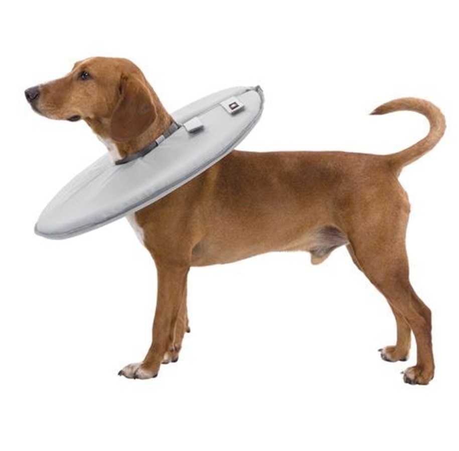 Hunde - Trixie Protective collar polyester/foam S: 30–34 cm/19.5 cm grey - TX19423