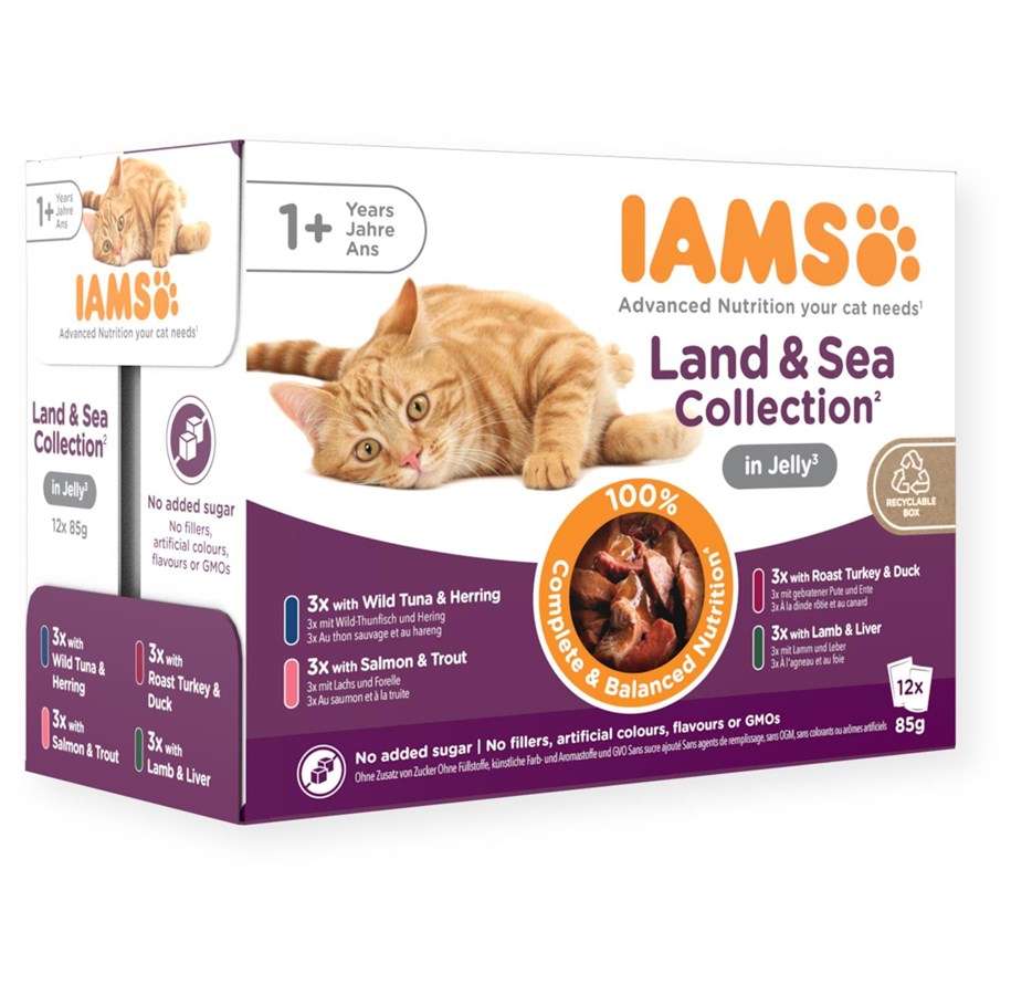 Katzen - Iams Wet Food Adult Land & Sea Collection in Jelly 1kg (12x 85g) - I540102