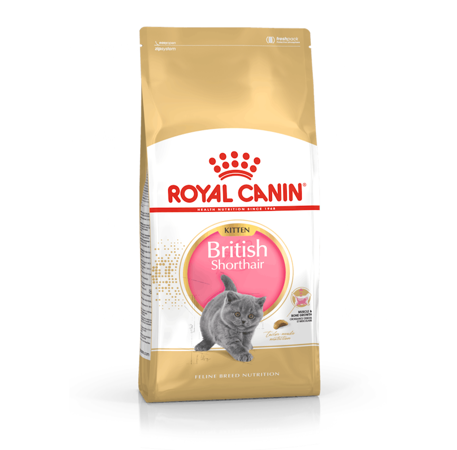 Katzen - Royal Canin British Shorthair Kitten 400g - 3182550816526