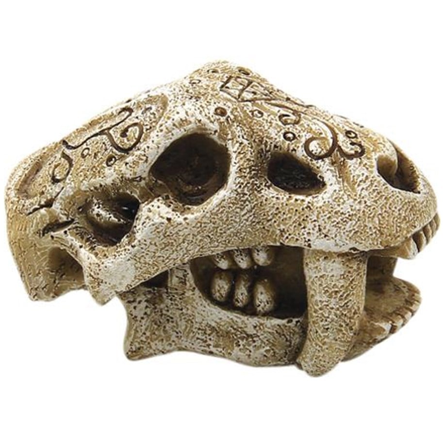Fische - 4FISH Skull 7.5x4.2x4.2 cm - AT47389