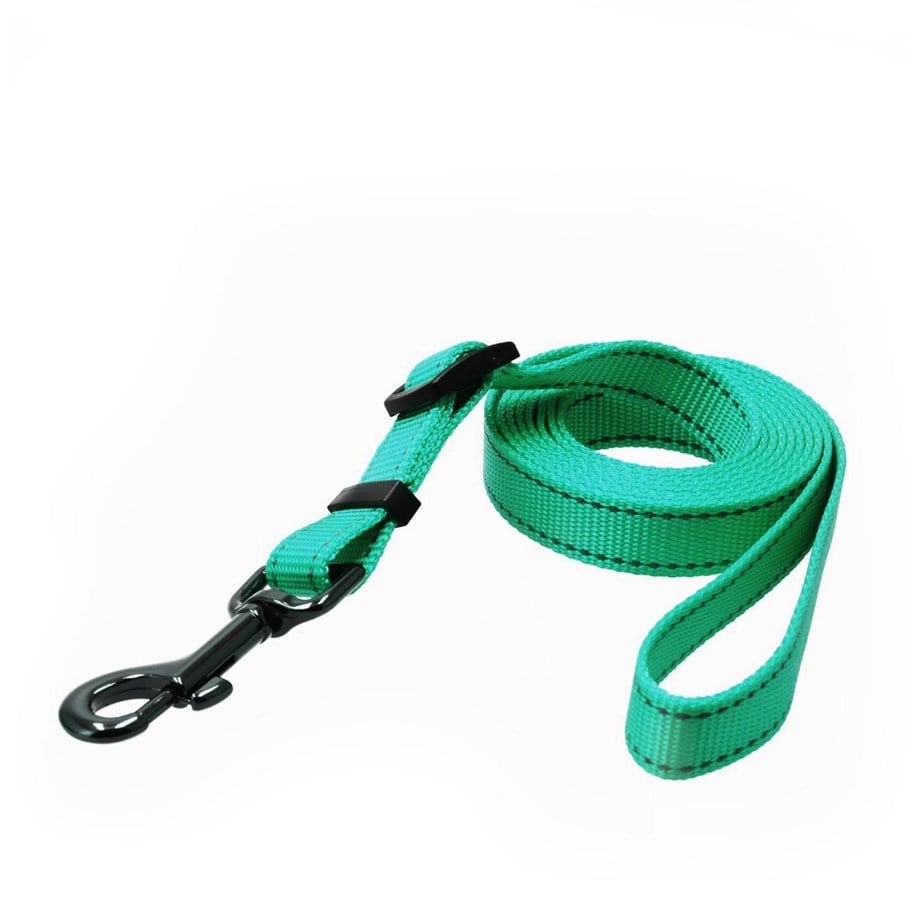 Hunde - Dogman Iris Verstellbare Nylon Hundeleine Cyan Groß 20mm 120-200cm - 223014