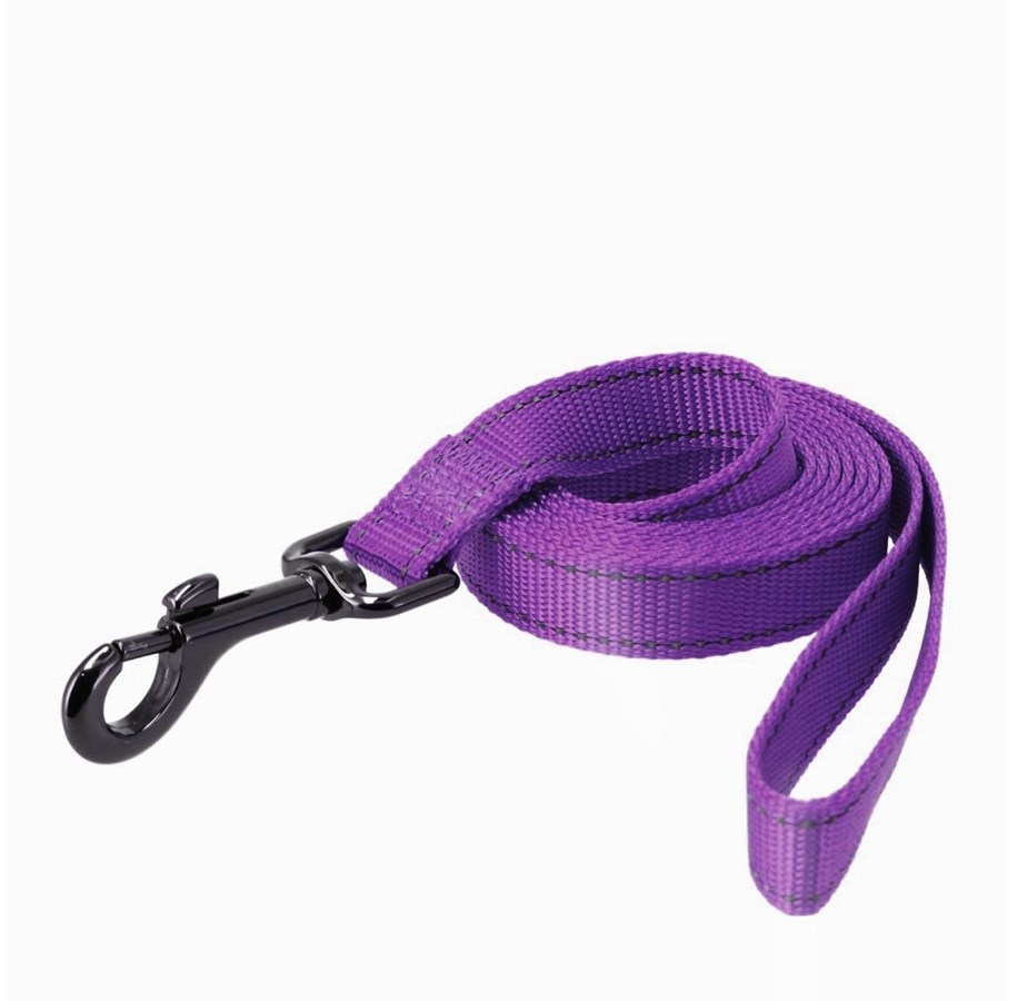 Hunde - Dogman Reflective Nylon Dog Leash Iris Purple M 20mm 180cm - 223110