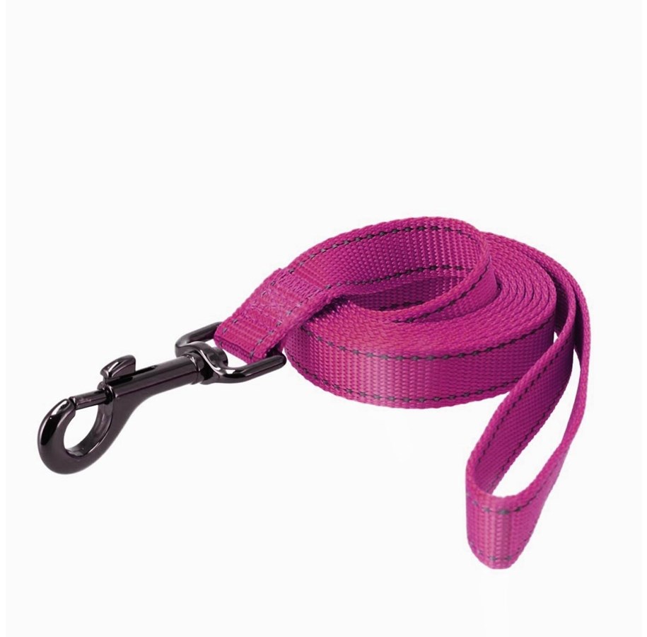 Hunde - Dogman Reflective Nylon Dog Leash Iris Pink L 25mm 180cm - 223119