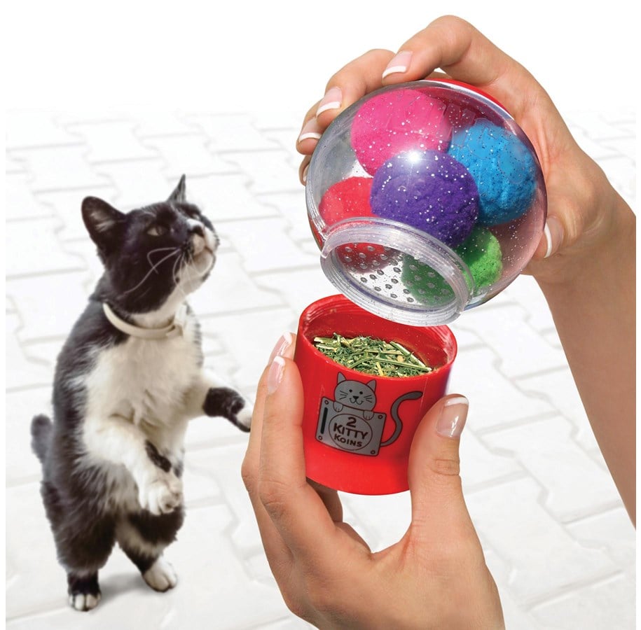 Katzen - KONG Toy Catnip Infuser - 341108