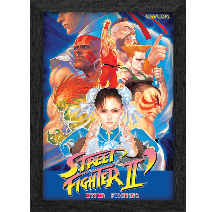 Merchandise - Pixel Frames - Plax SF2 Legends - Bild - 849172014626