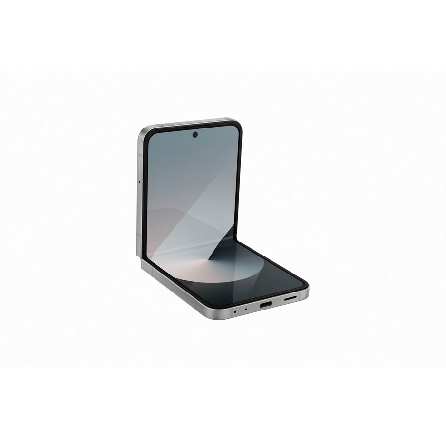 Samsung Galaxy Z Flip6 256GB/12GB - Silver Shadow | Auf Lager