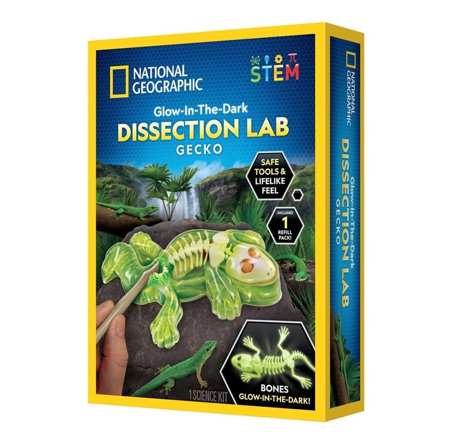 Spielzeug - National Geographic Gecko Dissection Lab - 29-2451