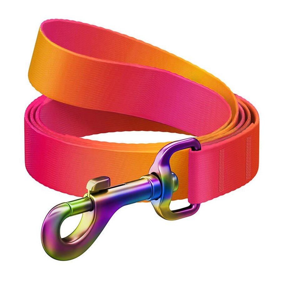 Hunde - Waudog gradient nylon dog leash 20mm wide 122cm long orange - 46614