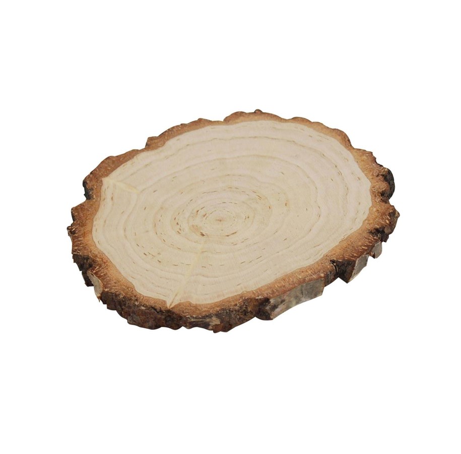 Kunst & Handwerk Ausstattung - Playwood - Tree bark Birch wood Ø 13-15cm - sl1157A