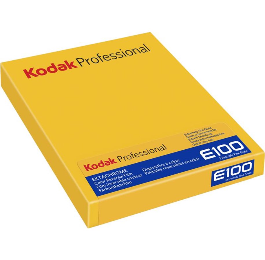 Photo film - KODAK Ektachrome E100 8x10 10 Sheets - 1069822
