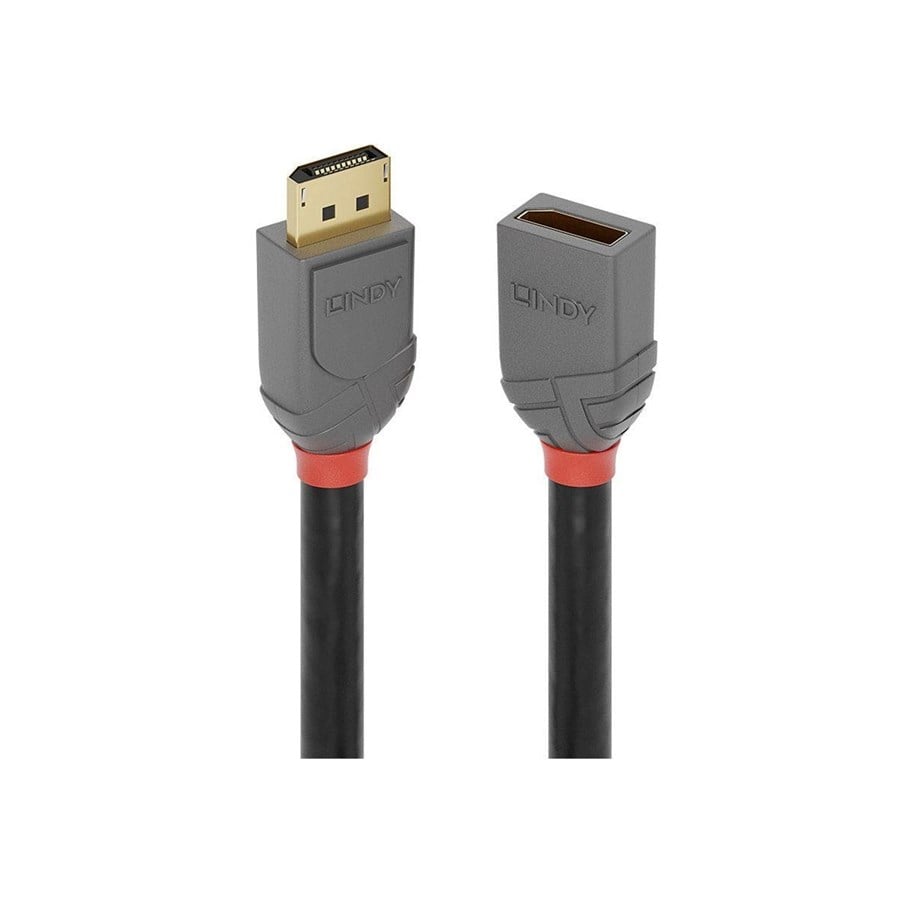 Display Kabel - Lindy Anthra Line - DisplayPort extension cable - DisplayPort to DisplayPort - 50 cm - 36495