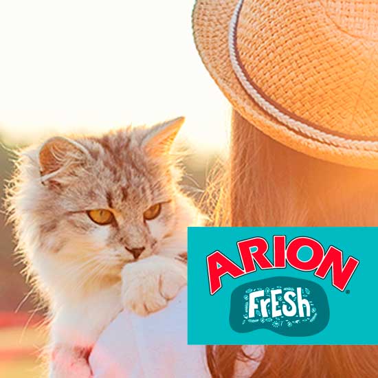 Arion Fresh Katze