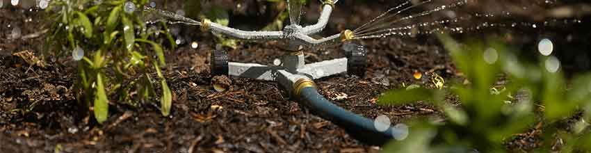Ein im Beet platzierter Sprinkler sprüht Wasser in drei verschiedene Richtungen.