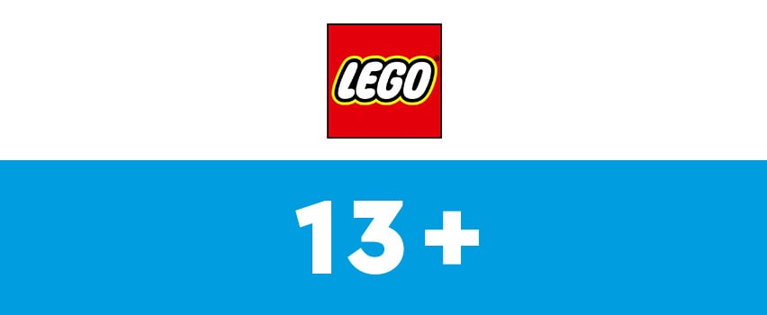 Banner - Lego 13 +