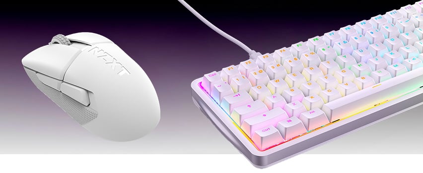 KEYBOARD & MOUSE
