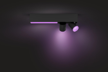 Philips Hue Ceiling Lights